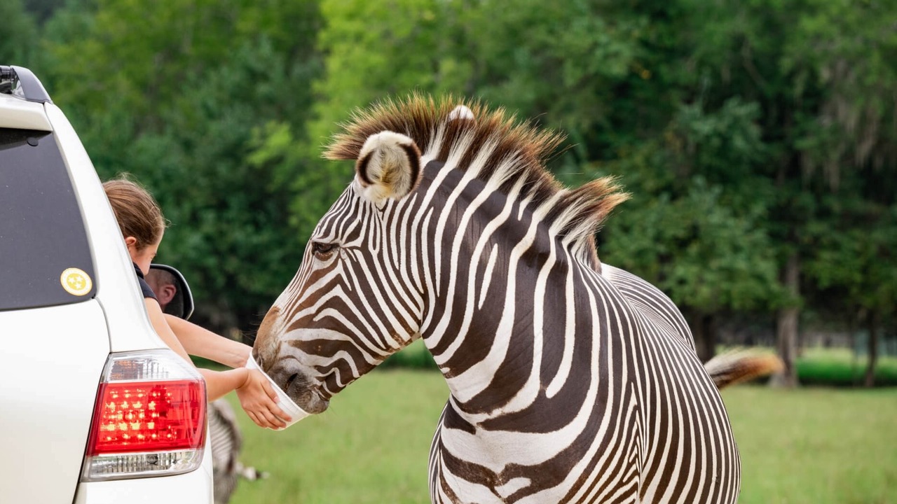 best day trips from Huntsville