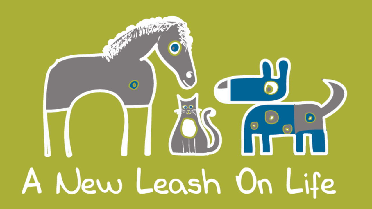 New Leash on Life Volunteer Opportunities in Huntsville