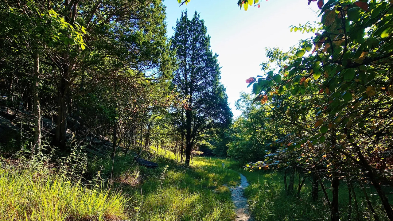 Best hiking trails in Huntsville Devil's Race Track