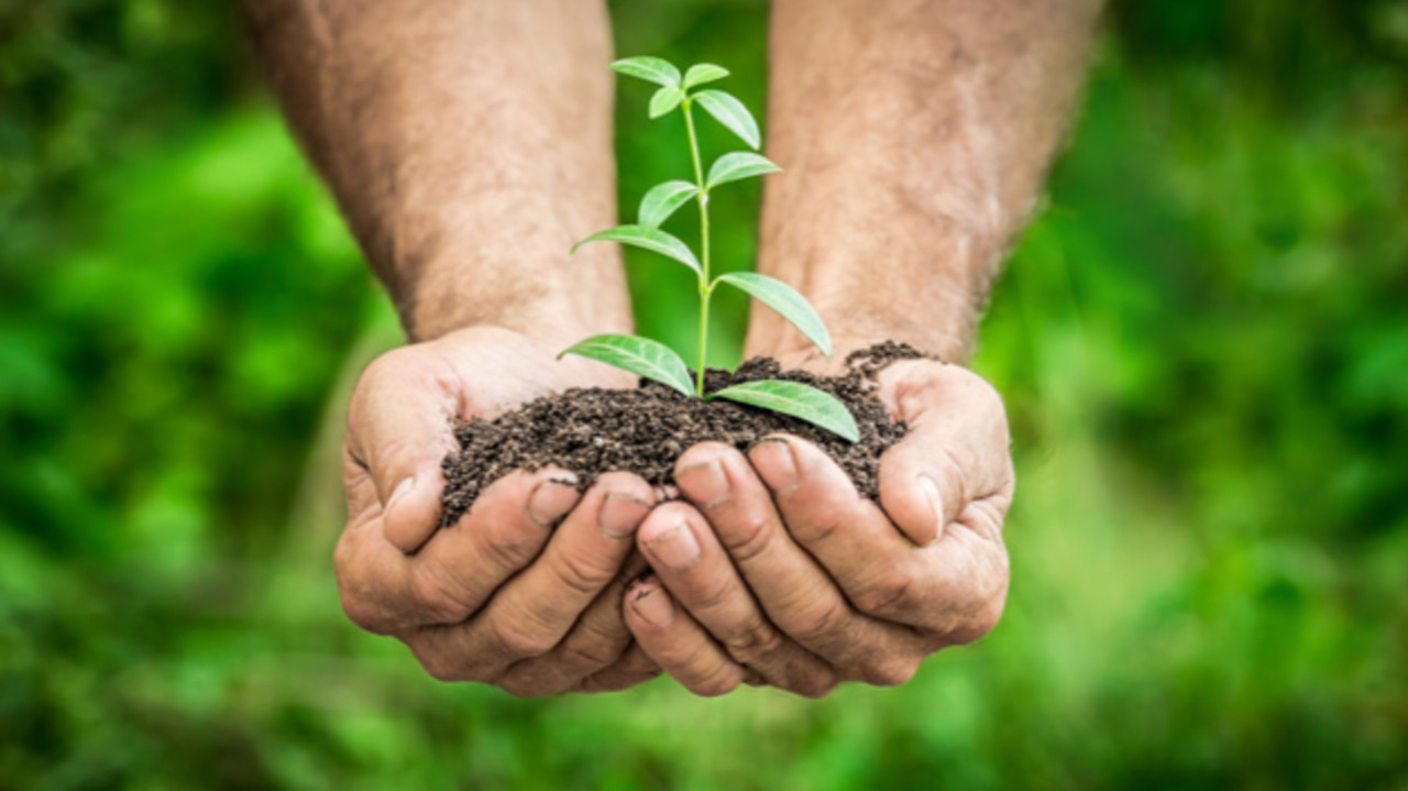 Operation Green Team Volunteer Opportunities in Huntsville