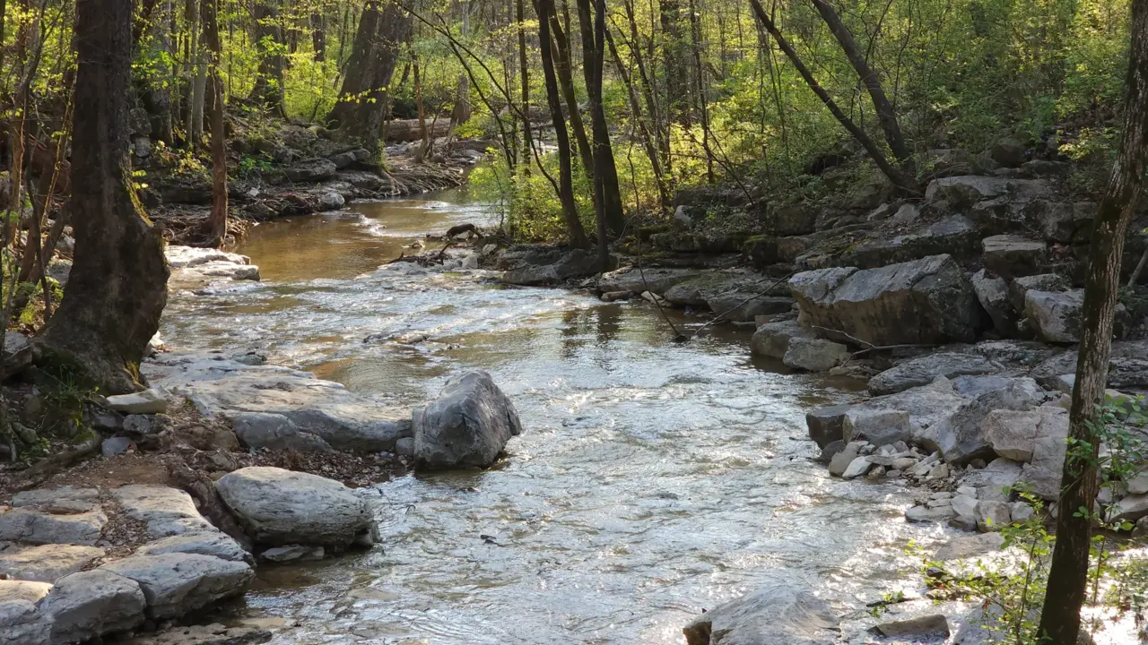 Best hiking trails in Huntsville Wildflower Trail