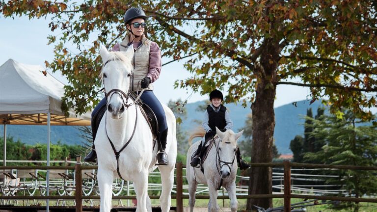 4 Places to Go Horseback Riding in Huntsville